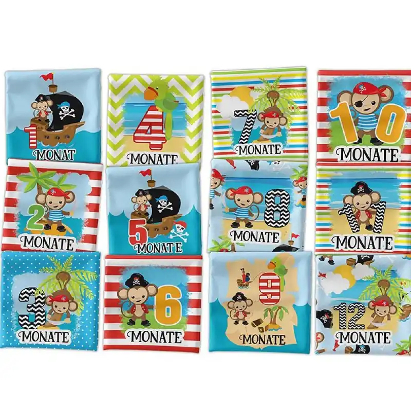 *SET* Bio-Jersey MONATS- Panel 1-12 Monate, Pirat Affe Schnäppchen