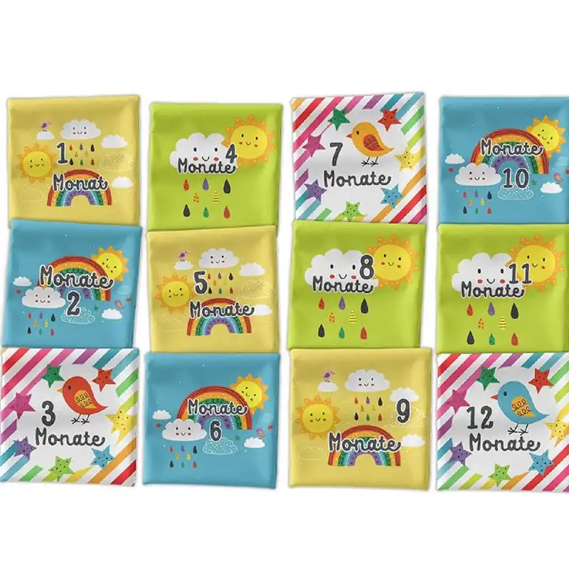 *SET* Bio-Jersey MONATS- Panel 1-12 Monate, Regenbogen Direktkauf